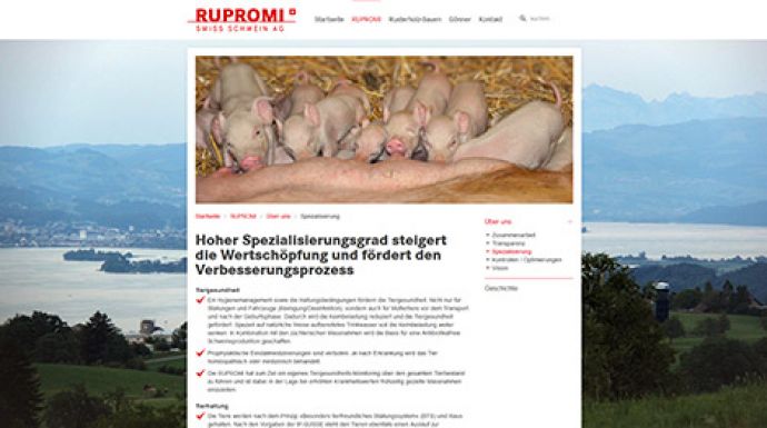 Webauftritt für Rupromi Swiss Schwein AG