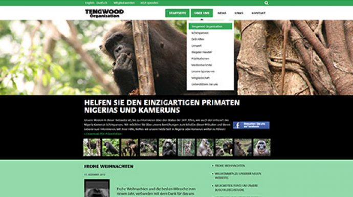 Neue Webpräsenz für Tengwood Organization