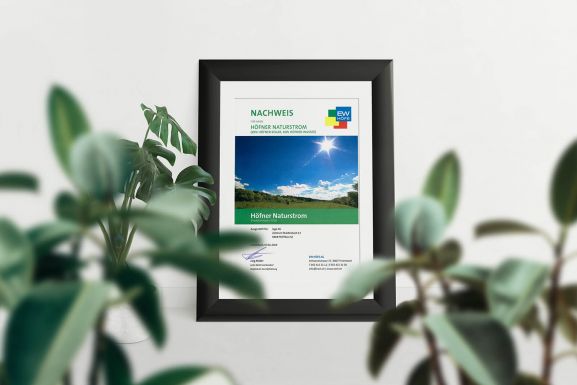 Naturstrom aus regionaler Energie