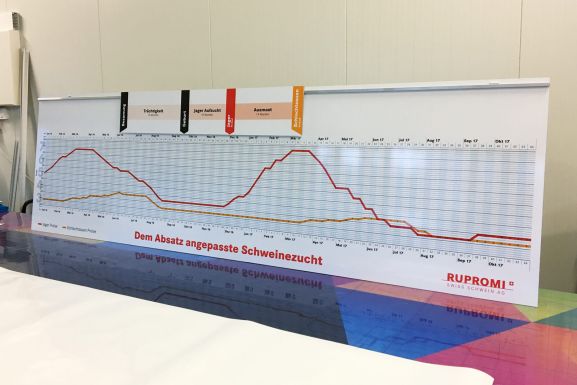 Rupromi Swiss Schwein AG an der Suisse Tier 2017